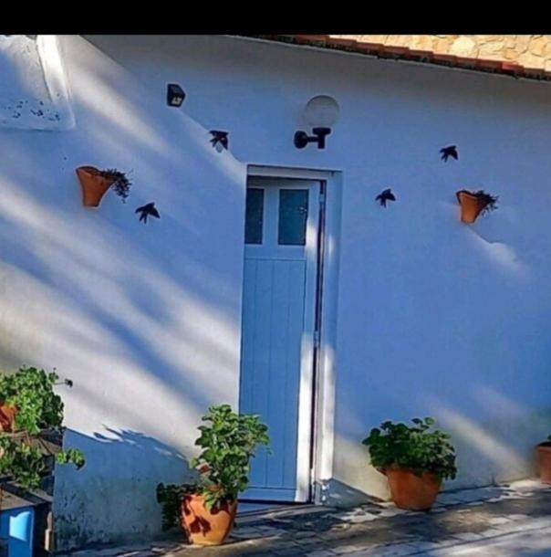 Anexo Na Quintinha Apartamento Caldas Da Rainha Exterior foto
