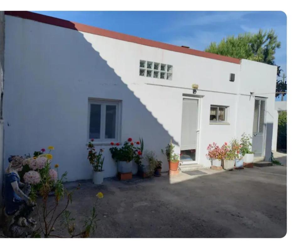 Anexo Na Quintinha Apartamento Caldas Da Rainha Exterior foto